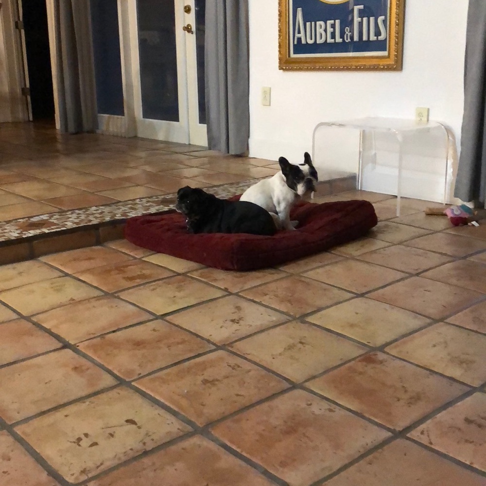 Meet your Posher, Yvette